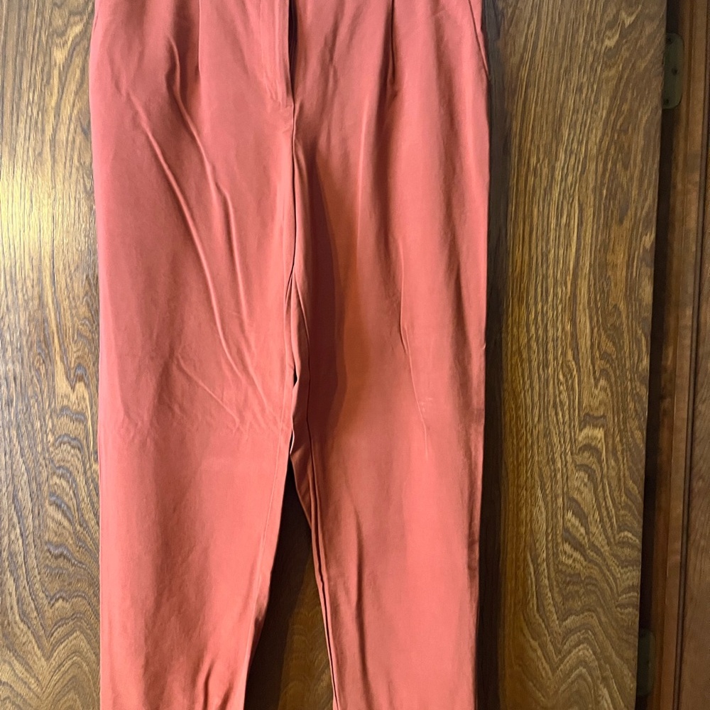Loft Rust Orange Pants - image 1